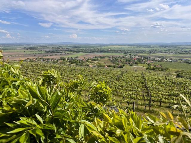 Somlo Wineshop Guesthouse Somlovasarhely Ngoại thất bức ảnh